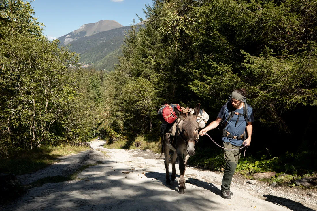 Bandeau de trekking laine mérinos -MT500