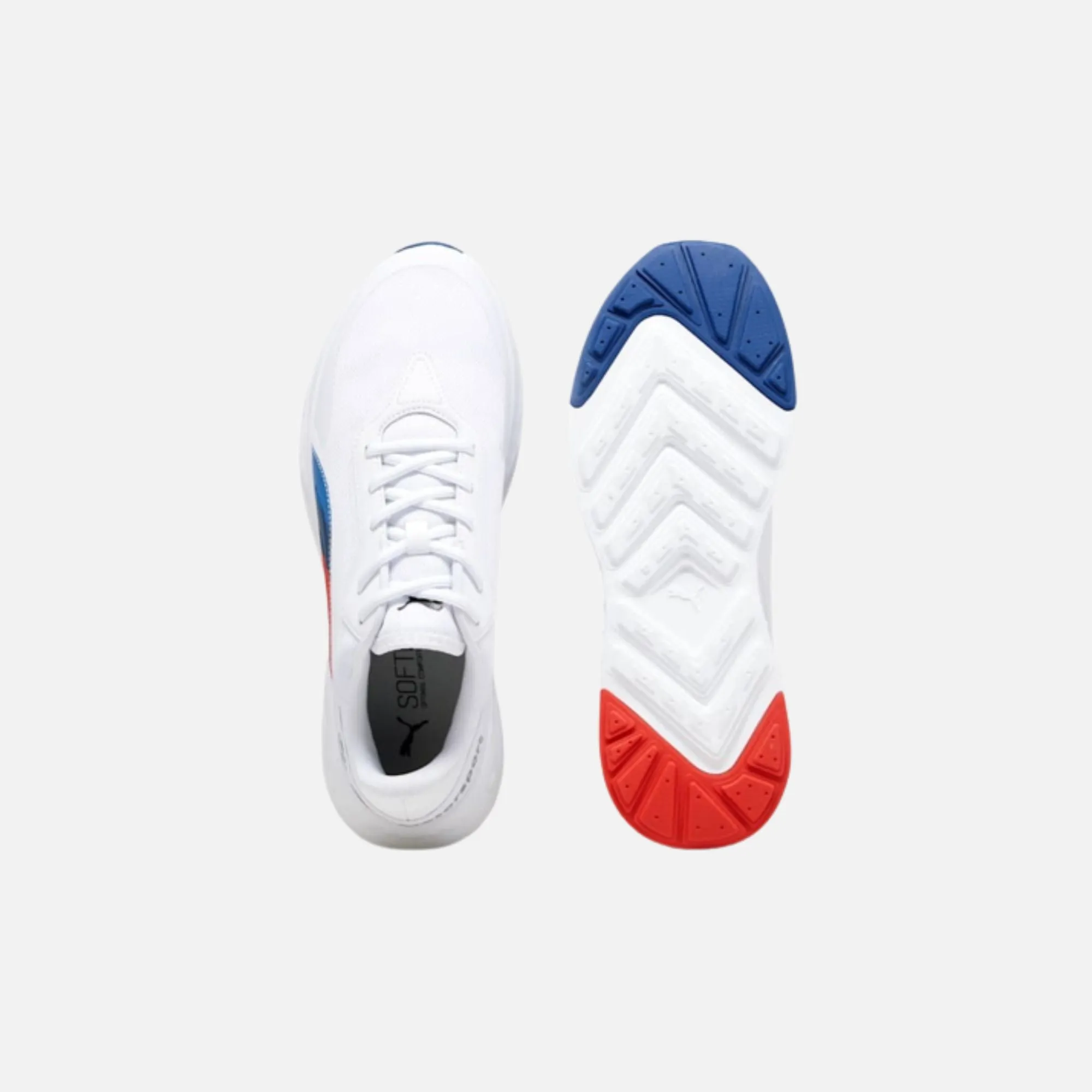 BMW M Motorsport Tiburion Unisex Driving Shoes