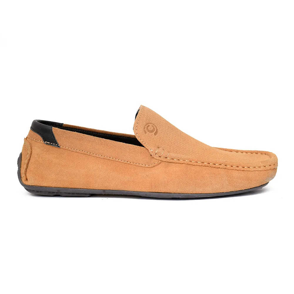 Casual Shoes