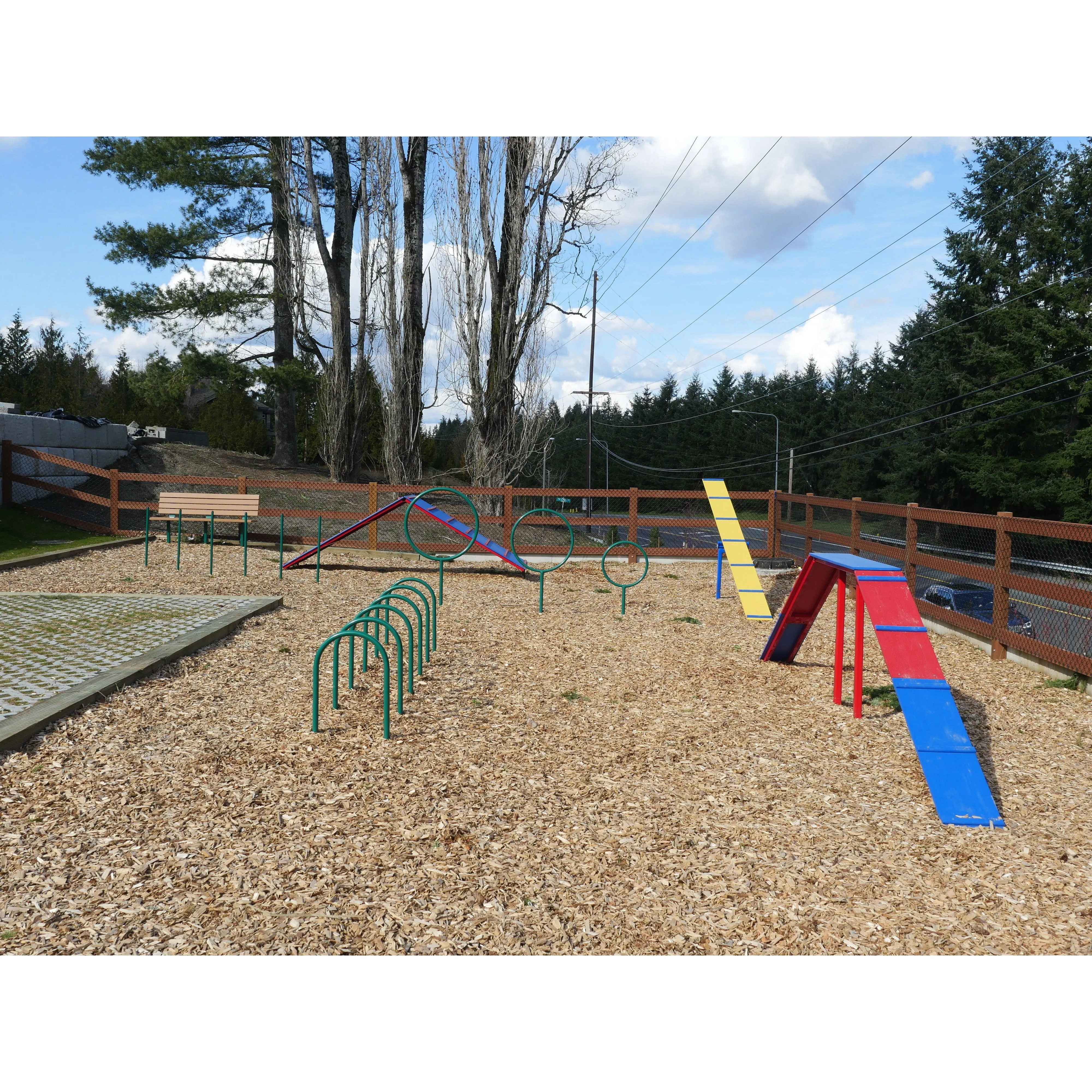 Doggie Playsystems Large Dog Walk