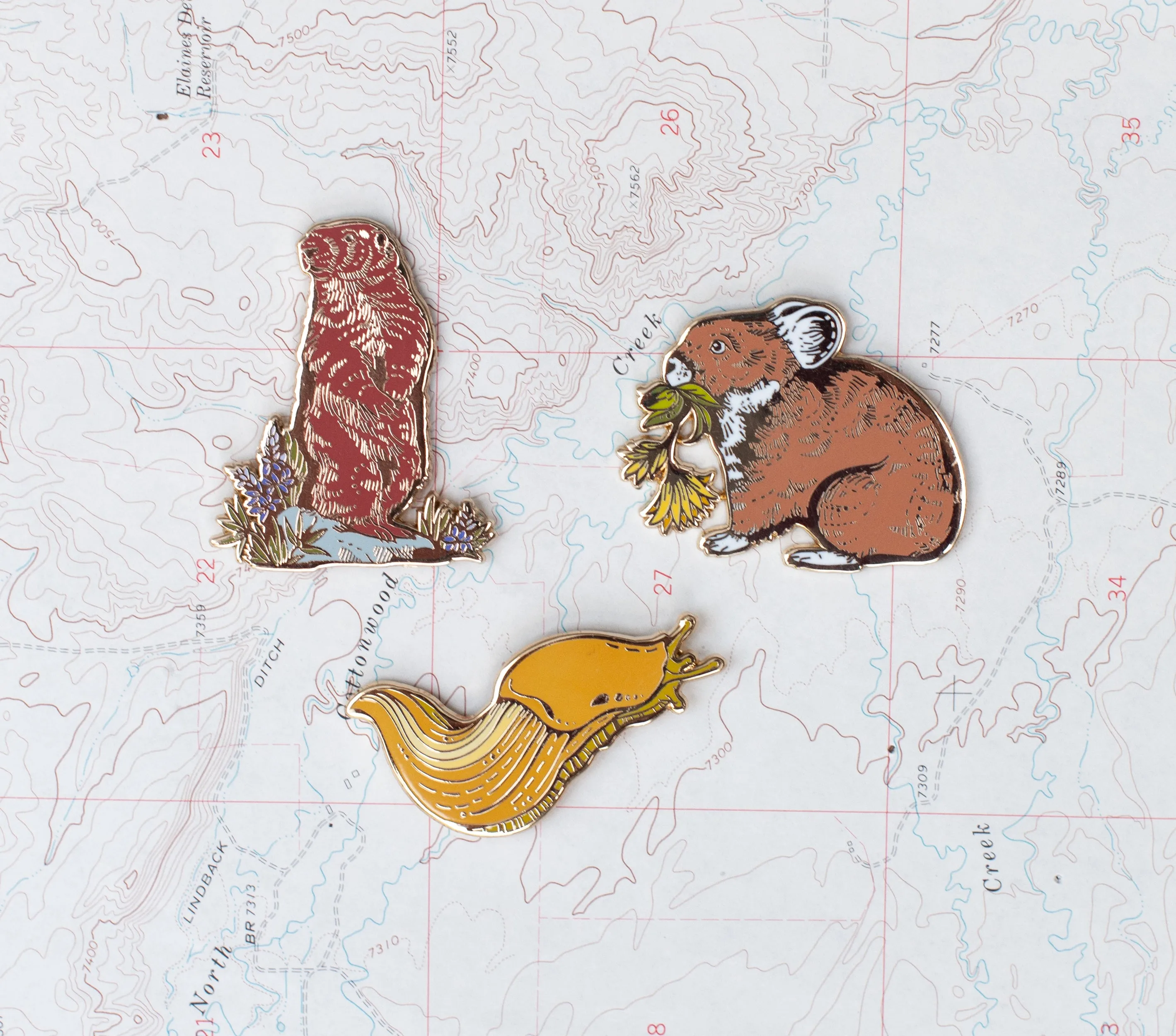 Enamel Pins