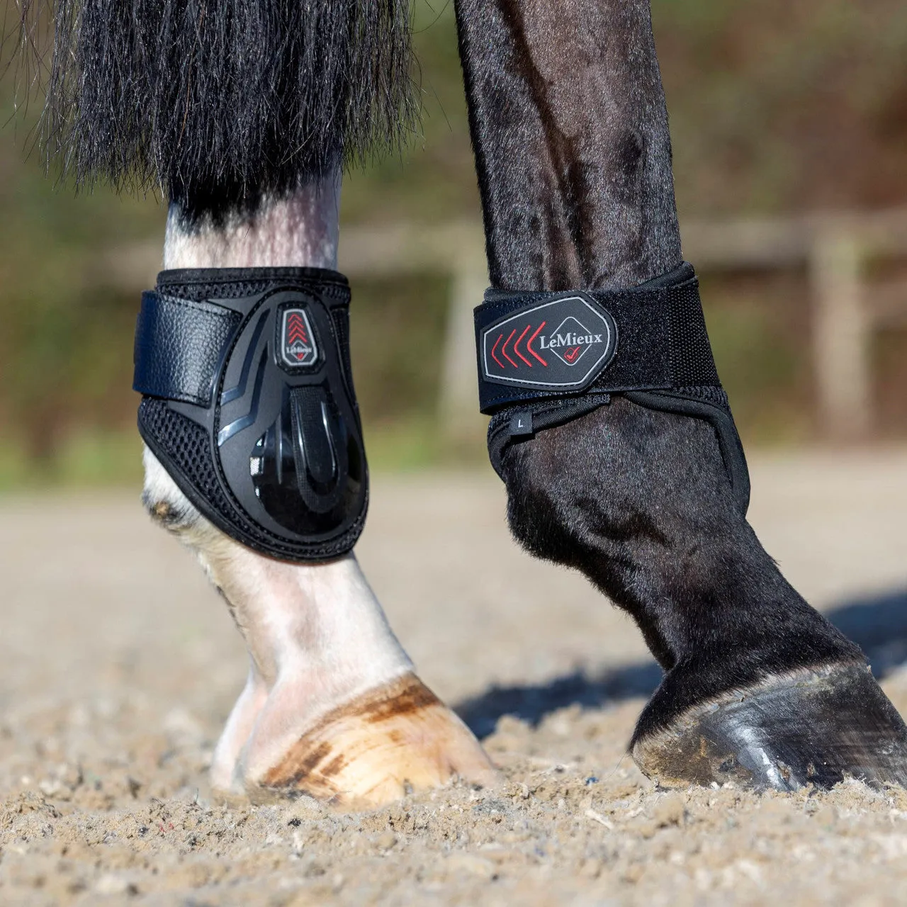 LeMieux Derby ProJump Fetlock Boot