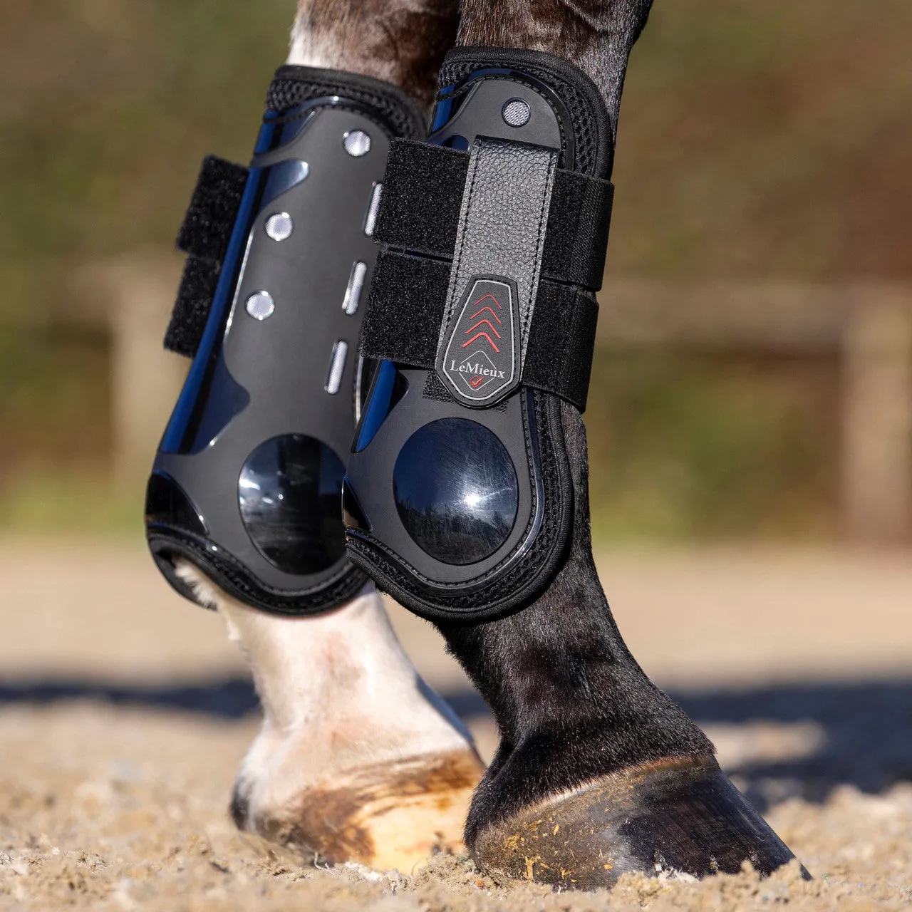 LeMieux Derby ProJump Tendon Boot