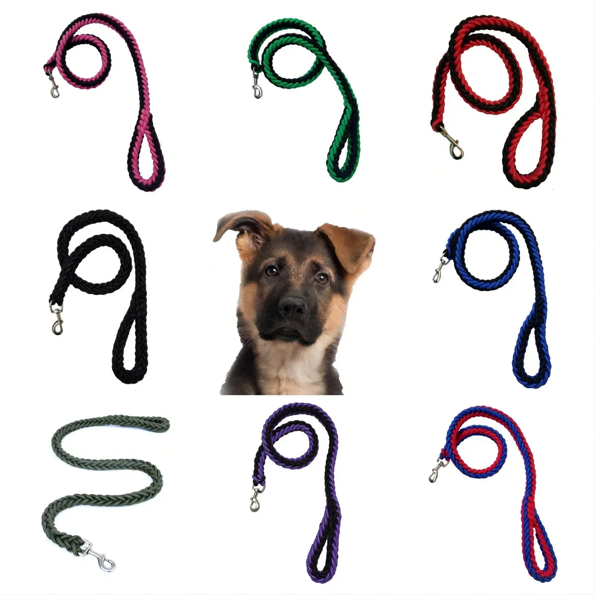 Nylon Dog Leash for Medium & Large Dogs