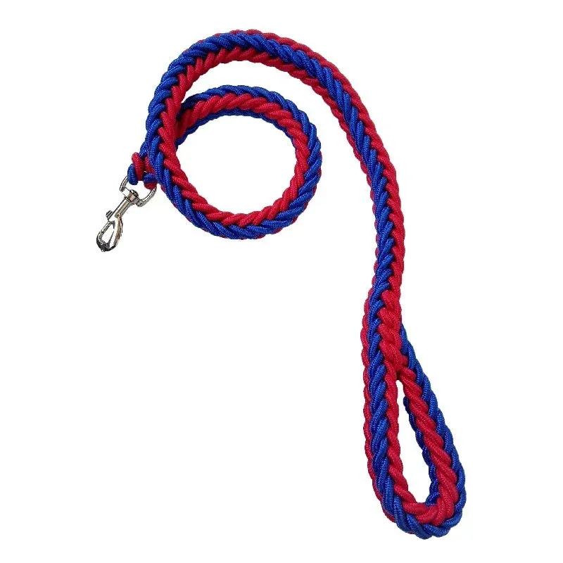 Nylon Dog Leash for Medium & Large Dogs