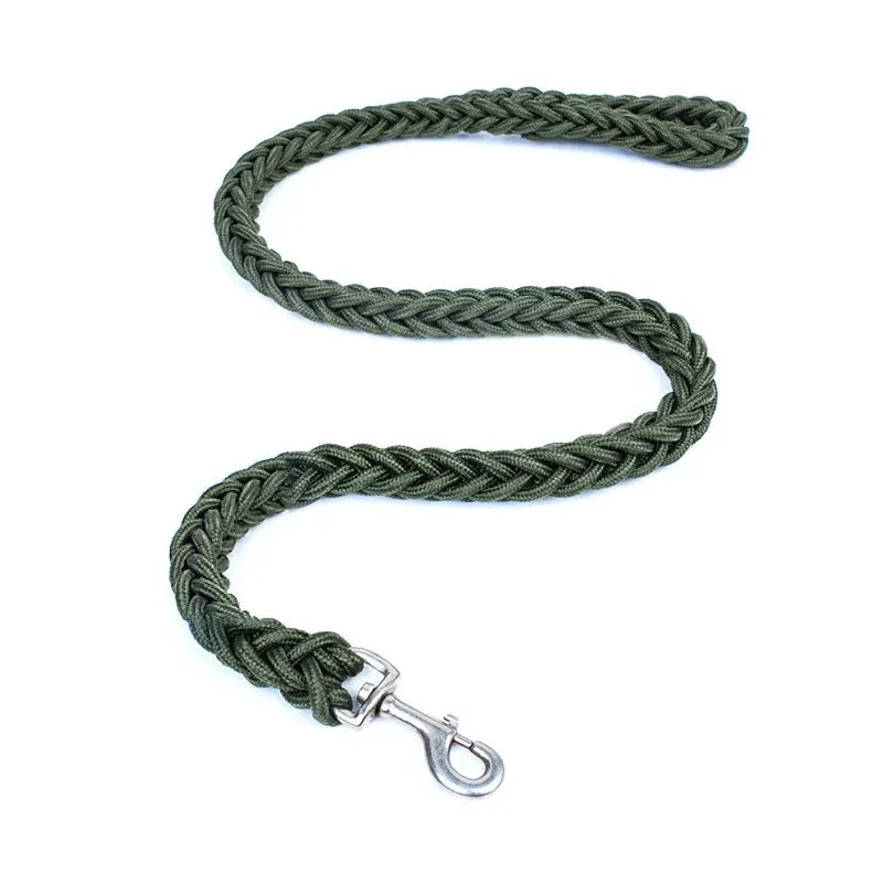 Nylon Dog Leash for Medium & Large Dogs