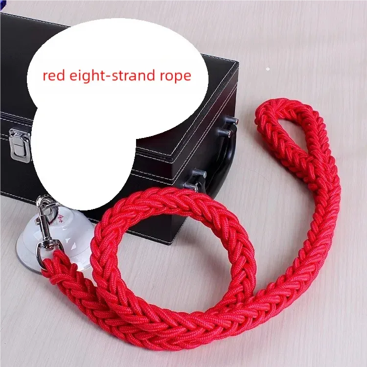 Nylon Dog Leash for Medium & Large Dogs