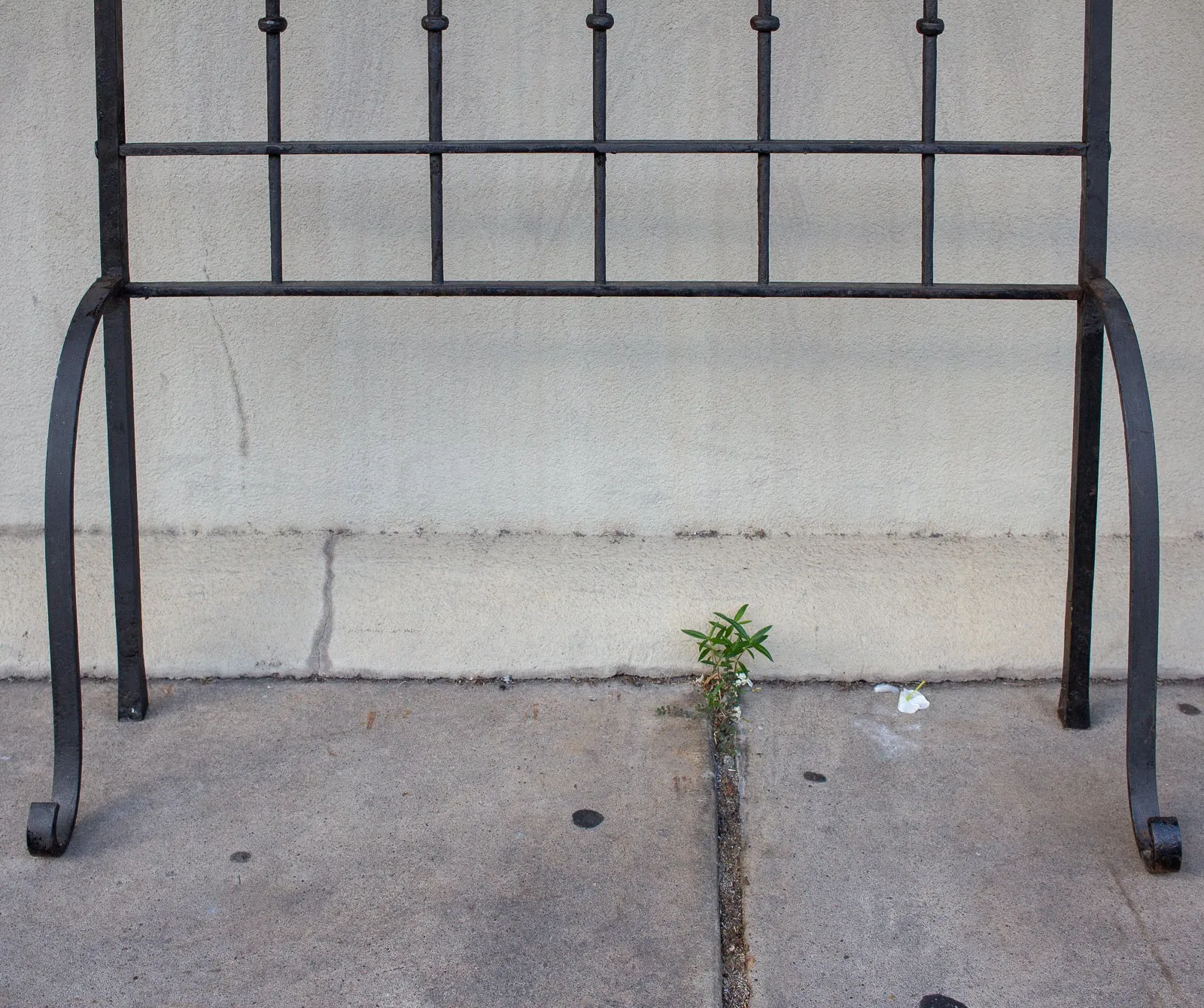 Pair of Antique Spanish Wrought Iron Screens/Grills Found in Italy