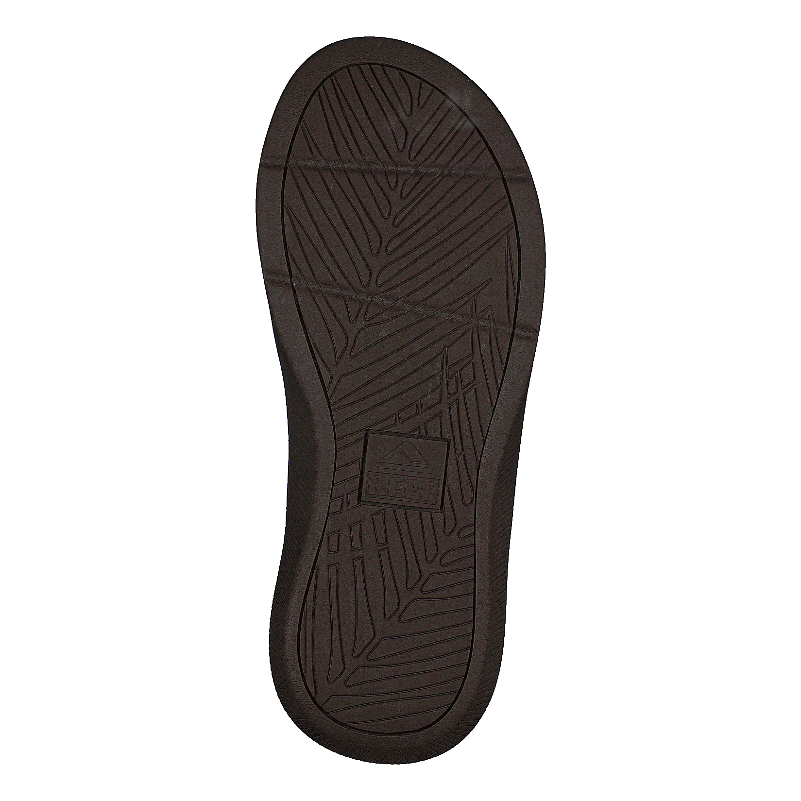 Reef Santa Ana Black