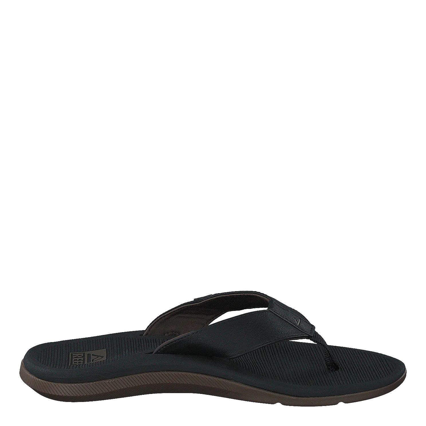 Reef Santa Ana Black