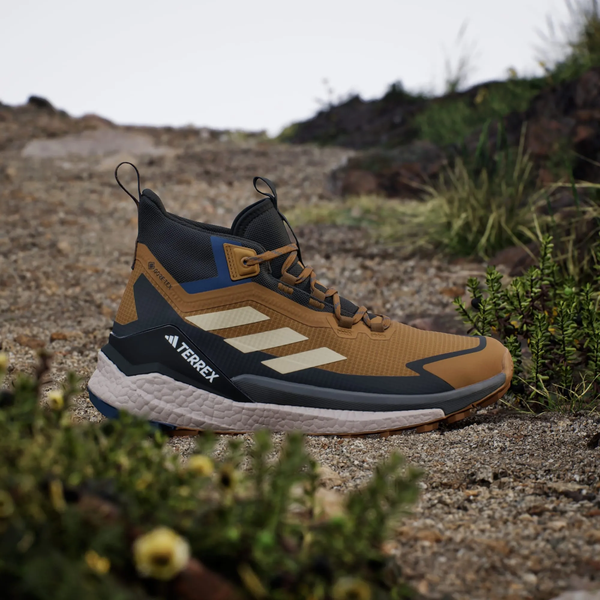 Terrex Free Hiker 2.0 Gore-Tex Hiking Shoes Men's