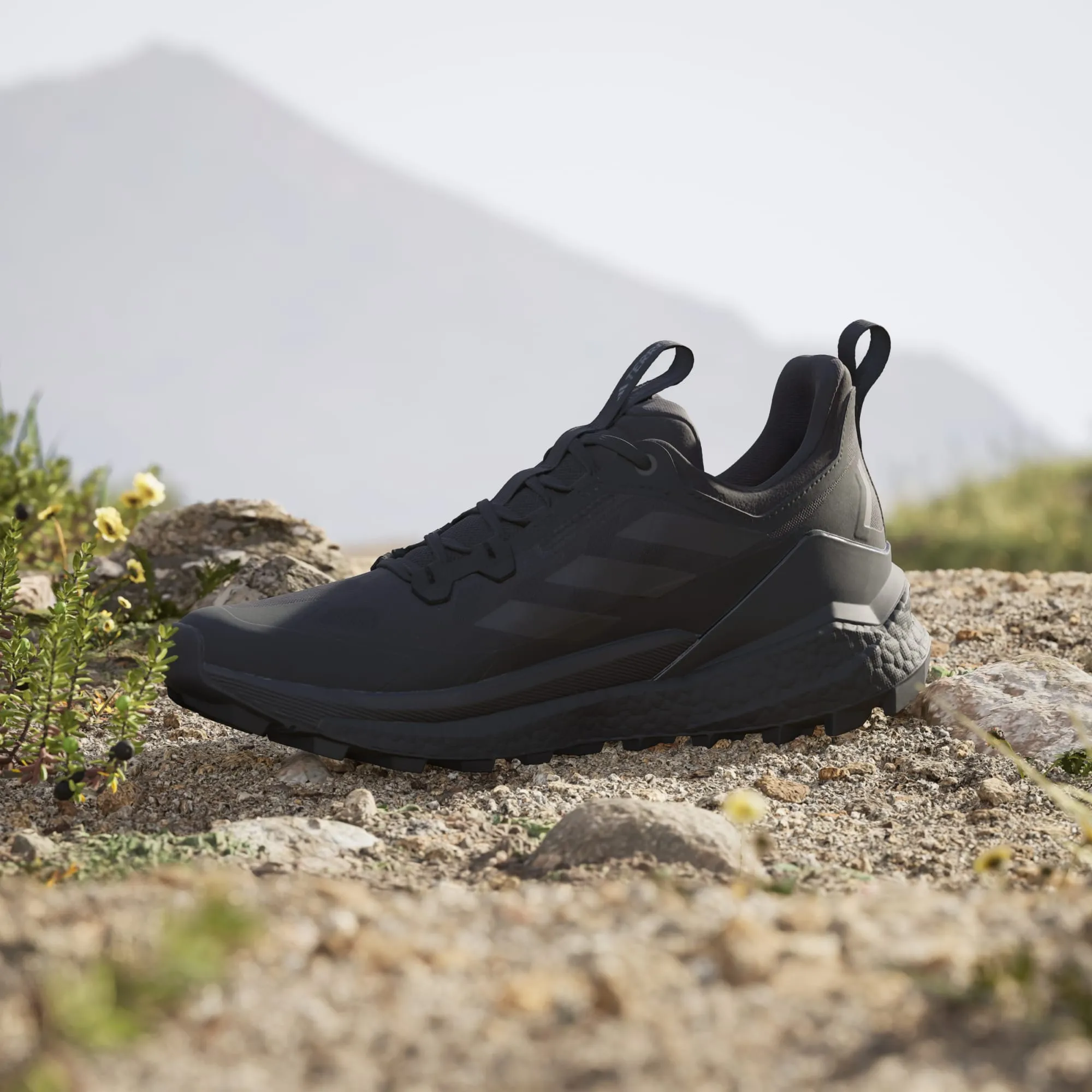 Terrex Free Hiker 2.0 Low Hiking Shoes Men's