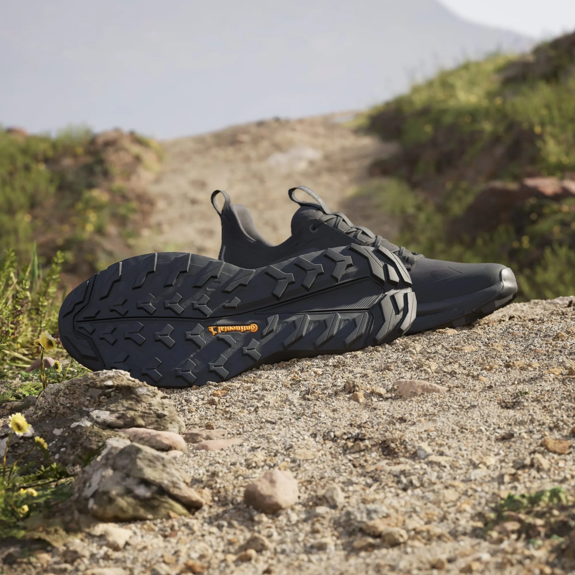 Terrex Free Hiker 2.0 Low Hiking Shoes Men's